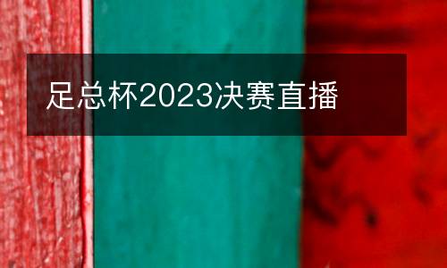 足總杯2023決賽直播