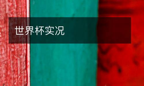 世界杯實(shí)況
