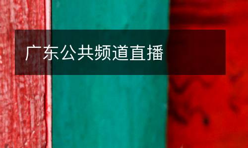 廣東公共頻道直播