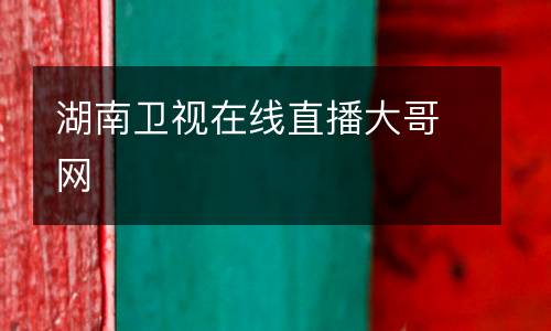 湖南衛(wèi)視在線直播大哥網(wǎng)