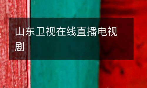 山東衛(wèi)視在線直播電視劇